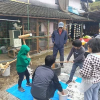画像242