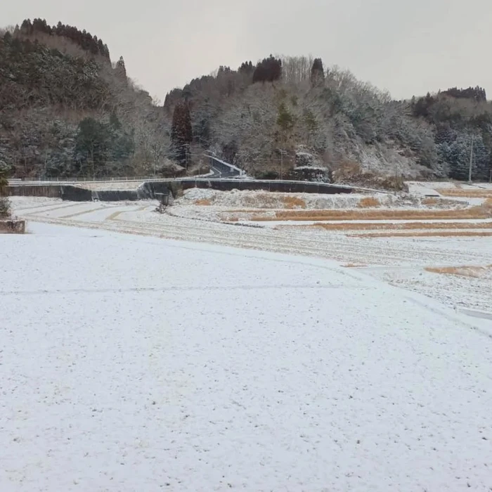 画像308