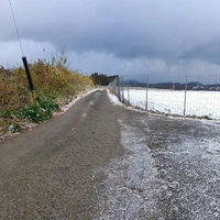 画像310