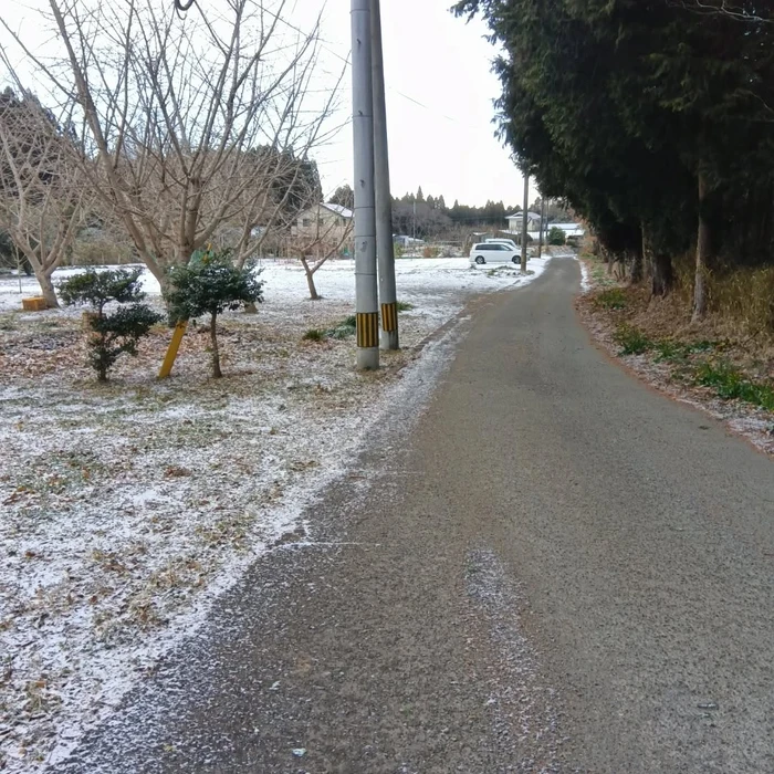 画像311