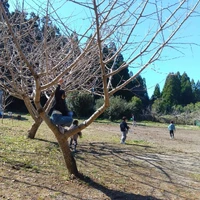 画像333