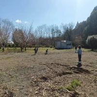 画像334