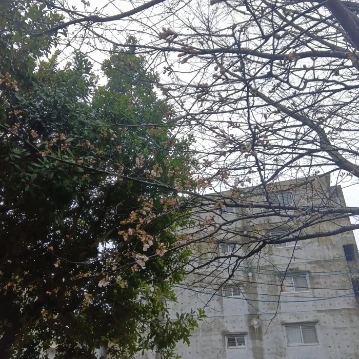 画像338
