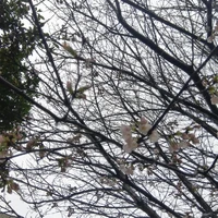 画像339
