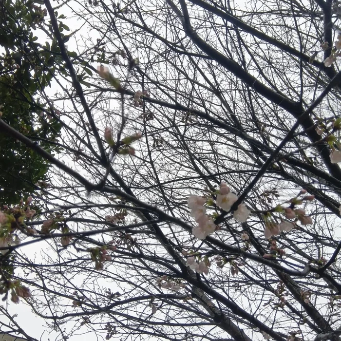画像339