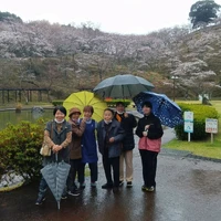 画像353