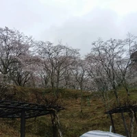 画像354