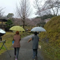 画像355
