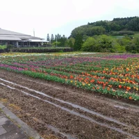 画像374