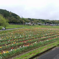 画像376