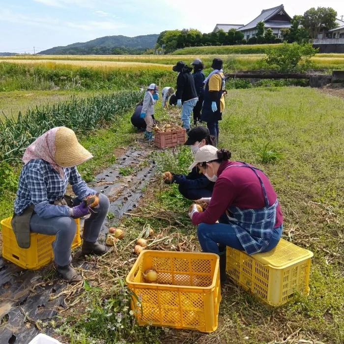 画像410