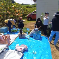 画像412