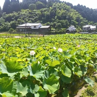 画像446