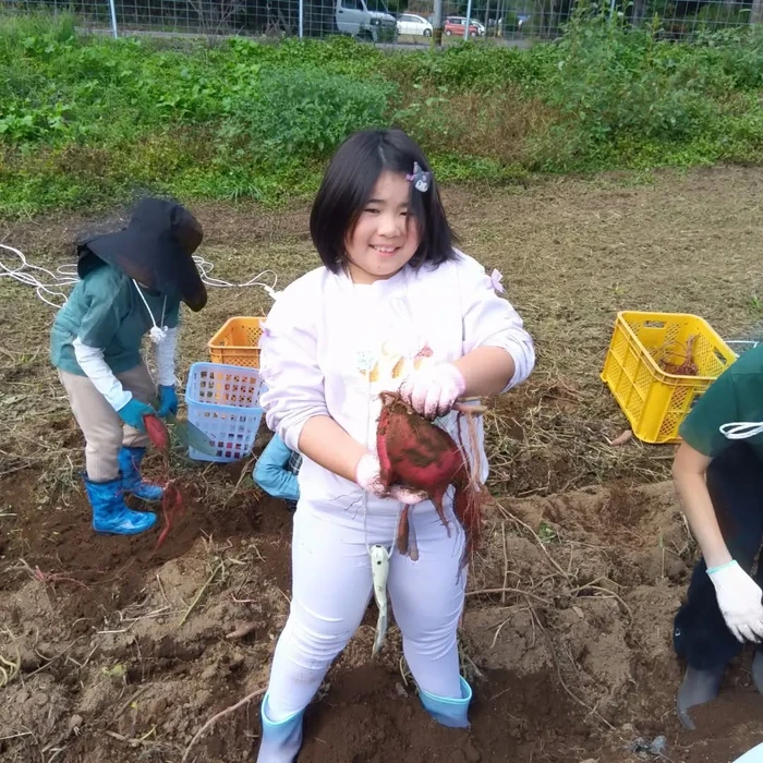 画像483